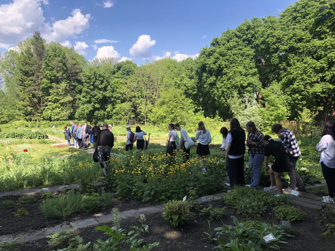 21 мая 2024 года студенты группы 23ИПО1 (куратор - проф. каф. ВИиО В.И. Шувалов) посетили Ботанический сад им. И.И. Спрыгина ПГУ